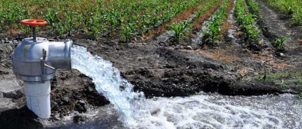 Mendoza quiere quedarse con el "know-how" y el edificio del INA