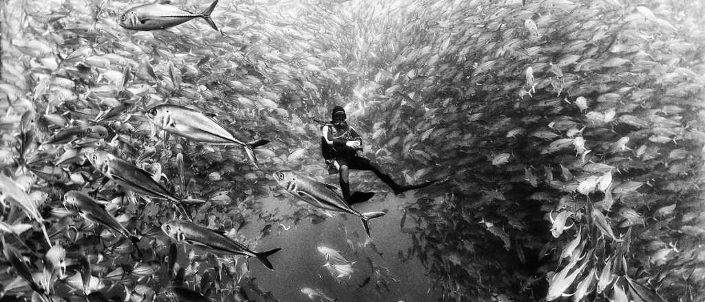Crónicas del subsuelo: Cañerías