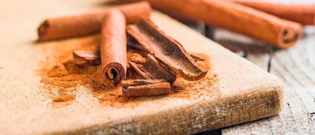 El enraizador casero que explotará tus esquejes