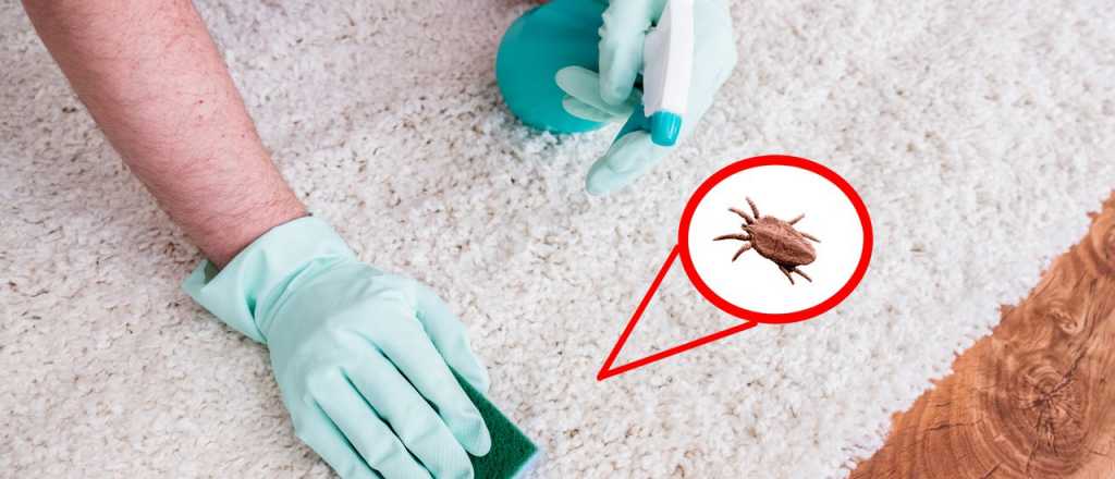 Trucos para eliminar los &aacute;caros de la cama