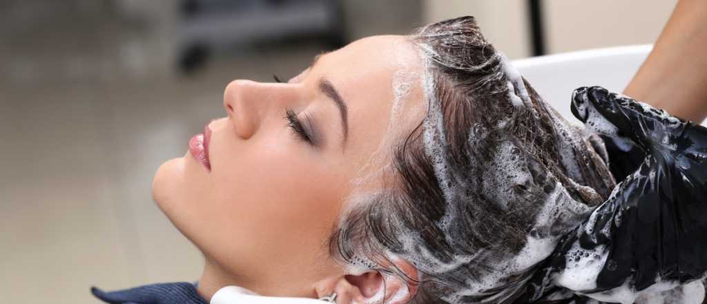 Qu&eacute; shampoo es el ideal para tu cabello