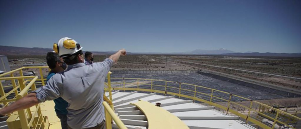 Suarez confirmó que hay tres ofertas "sólidas" para Potasio Río Colorado