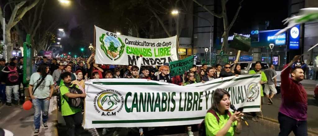 Marchan en Mendoza para que el consumo de marihuana sea legal