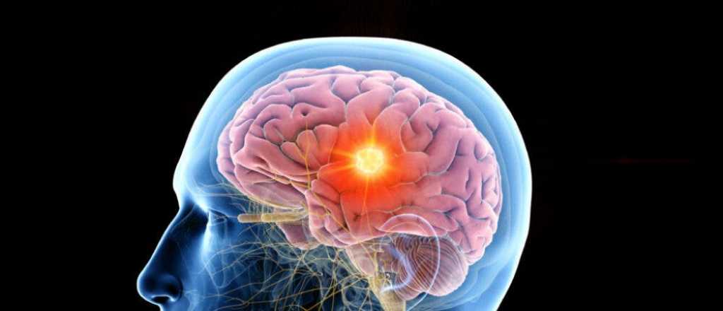 C&oacute;mo lograr que tu cerebro funcione como uno m&aacute;s joven