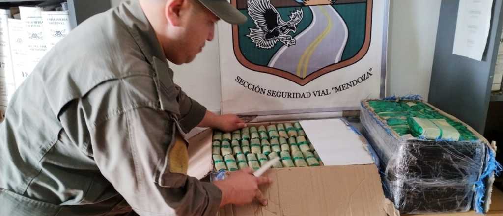 Secuestraron 56 kilos de hojas de coca ocultos en un micro en San Martín