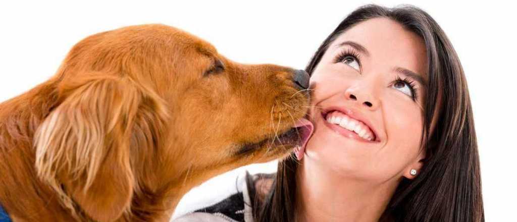 &iquest;Por qu&eacute; los perros lamen a sus due&ntilde;os?