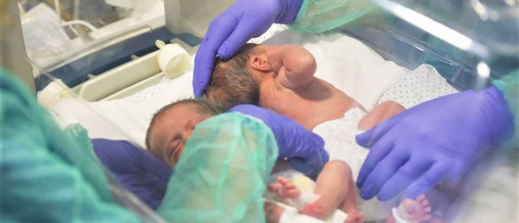 Investigan la muerte de gemelos recién nacidos en un hospital