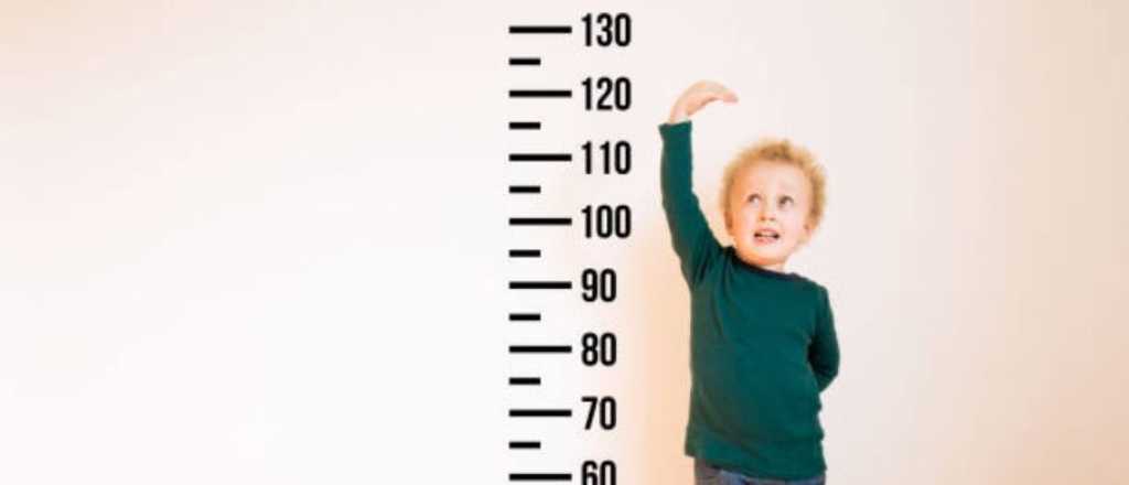 Genética: descubren cómo predecir la altura de un niño con el ADN