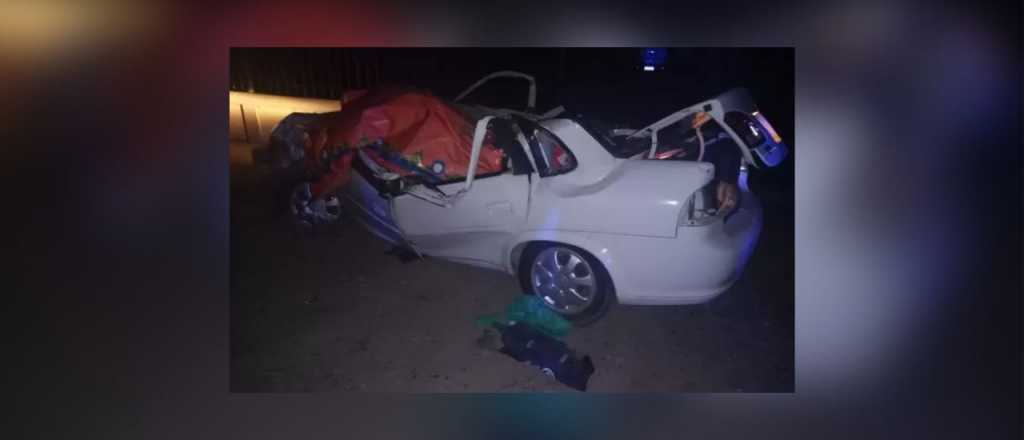 Un hombre murió aplastado por un árbol en Maipú cuando circulaba en auto 