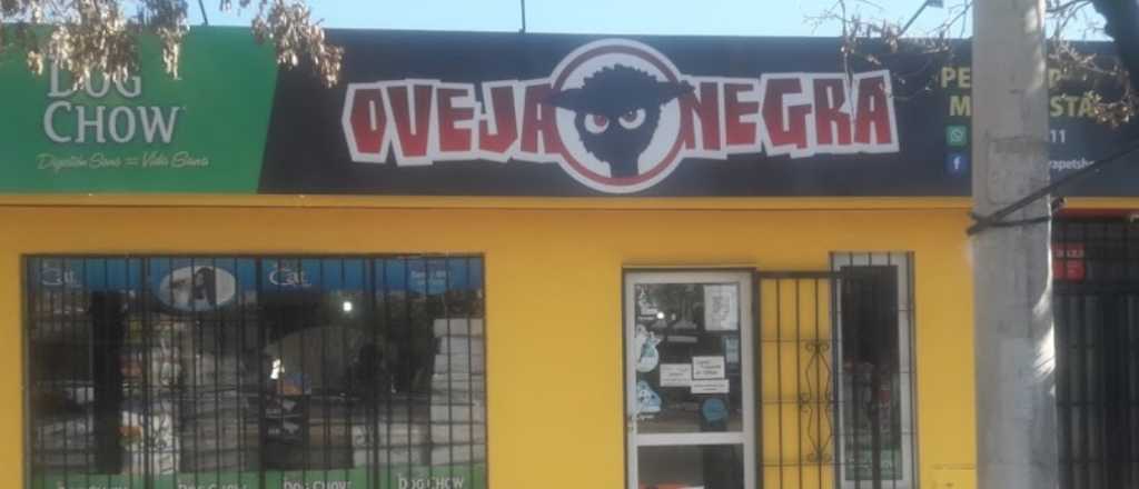 Robaron en una veterinaria de San Mart&iacute;n y golpearon a la v&iacute;ctima