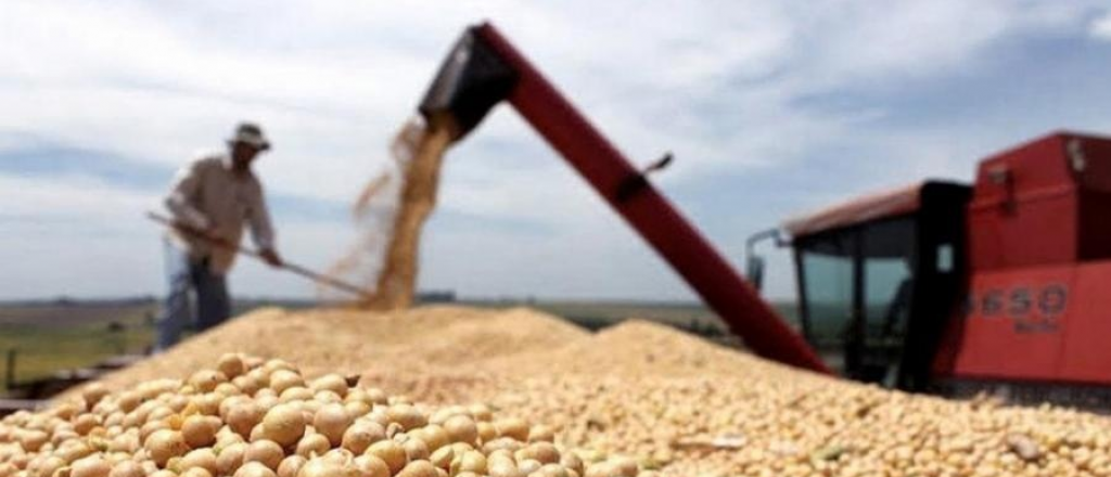 Agroexportadores ya superaron la meta de US$3 mil millones del dólar soja II