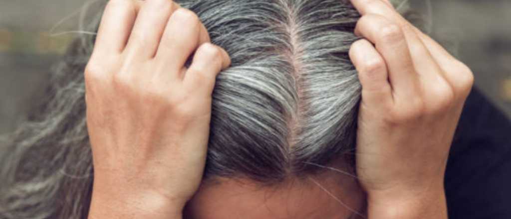 Soluci&oacute;n infalible: elimina las canas con bicarbonato de sodio