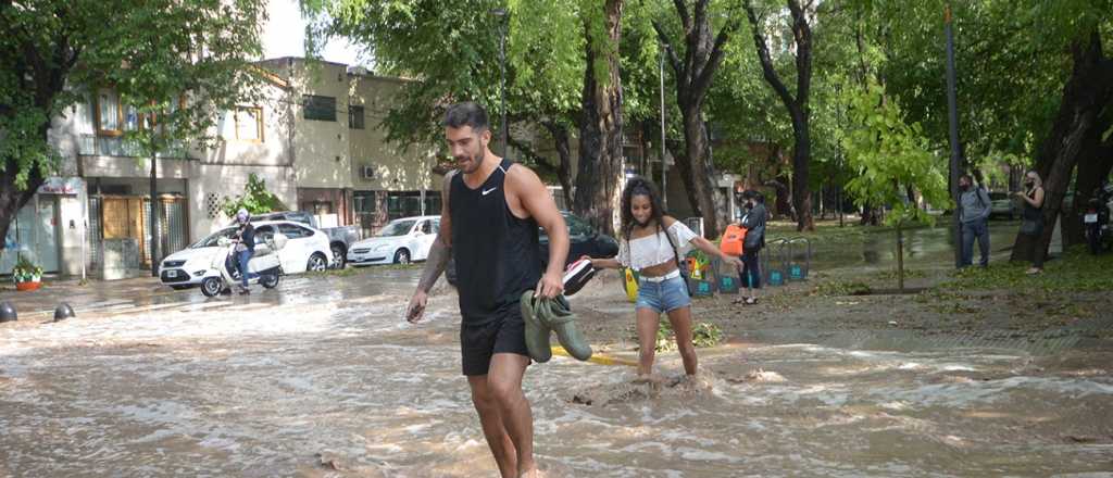 Árboles caídos y casas anegadas: los daños de la tormenta en Mendoza