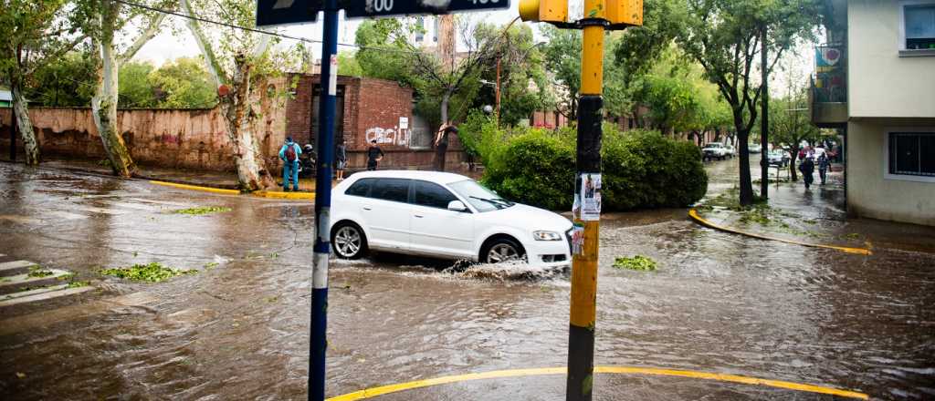 Árboles y cables caídos: el saldo de la tormenta en Mendoza