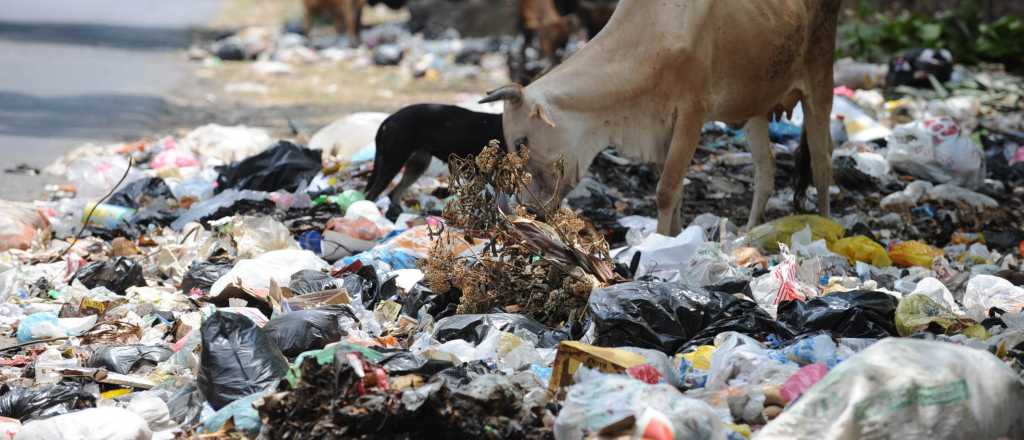 Los mendocinos generamos un kilo de basura por día