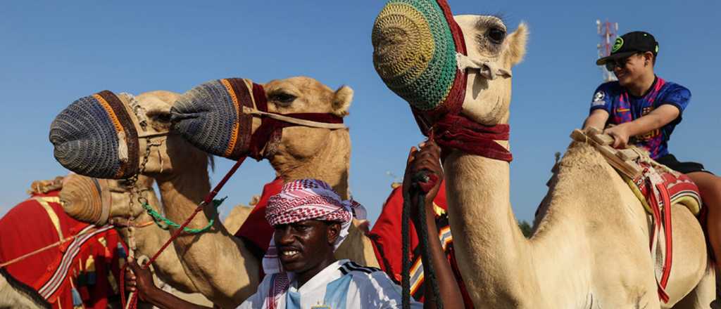 Qu&eacute; es el "virus del Camello" que tiene en vilo a Francia antes de la final