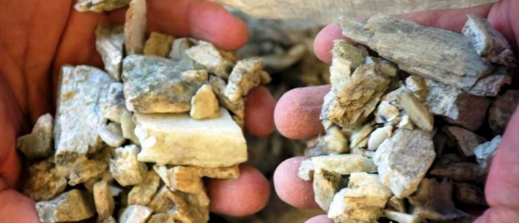 Triple impacto: en Mendoza logran obtener litio con más rentabilidad