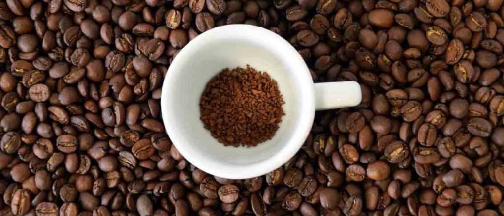 ¿Qué relación existe entre el café descafeinado y el sistema nervioso?