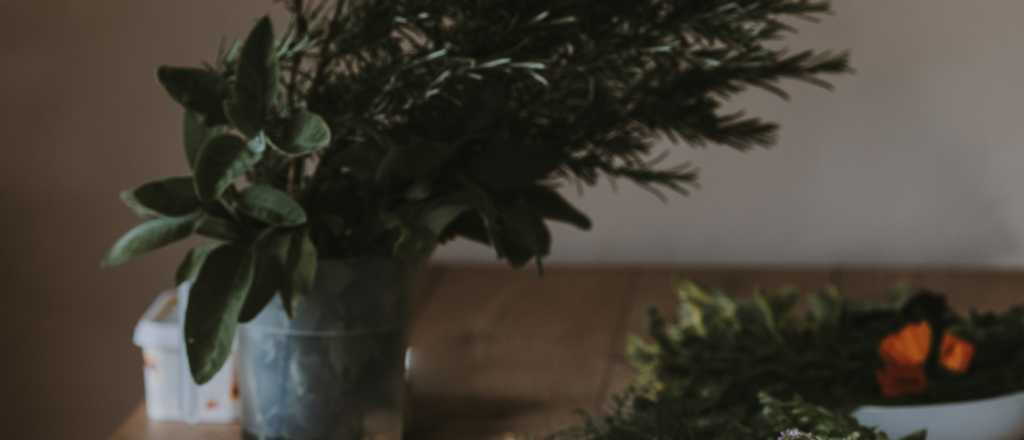 La hierba ideal para eliminar par&aacute;sitos en el intestino