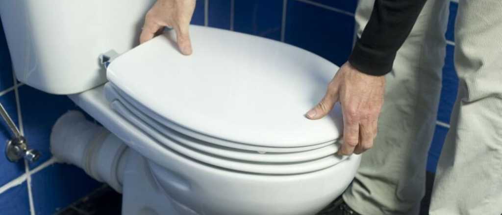 Presentaron un proyecto parar declarar al inodoro como "un lugar para la paz"