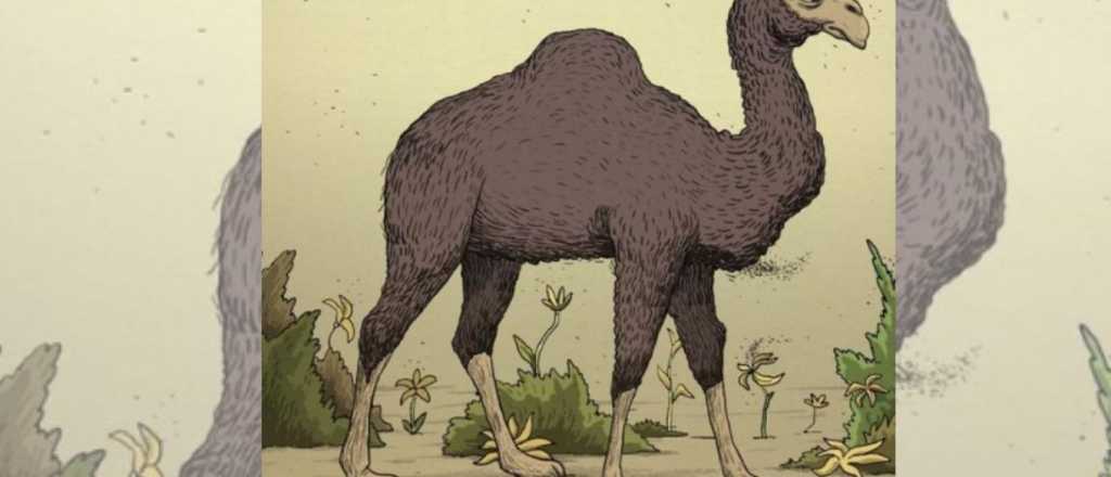 Reto visual: ¿Te animás a encontrar al jinete?