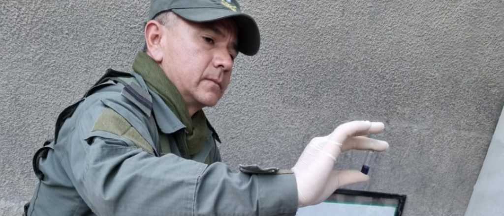 Secuestraron 5 kilos de coca&iacute;na en San Juan que ven&iacute;an a Mendoza