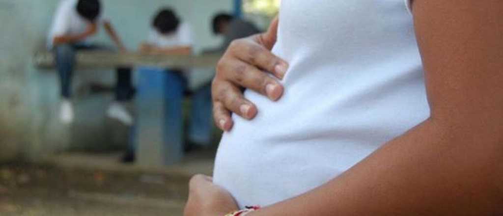 La ni&ntilde;a que pidi&oacute; abortar en Santa Fe estuvo cautiva de un grupo provida