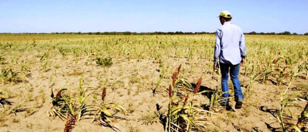 Massa anunció ayuda para productores afectados por la sequía