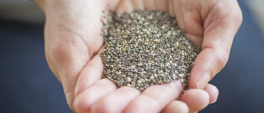 Los beneficios de consumir ch&iacute;a a diario