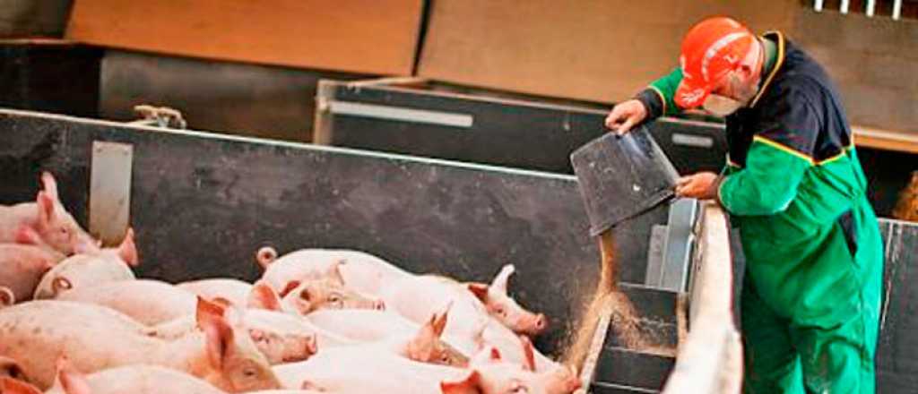 El Gobierno anunci&oacute; un programa de compensaci&oacute;n a productores