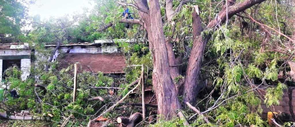 El Gobierno asiste a casi mil familias mendocinas afectadas por la tormenta