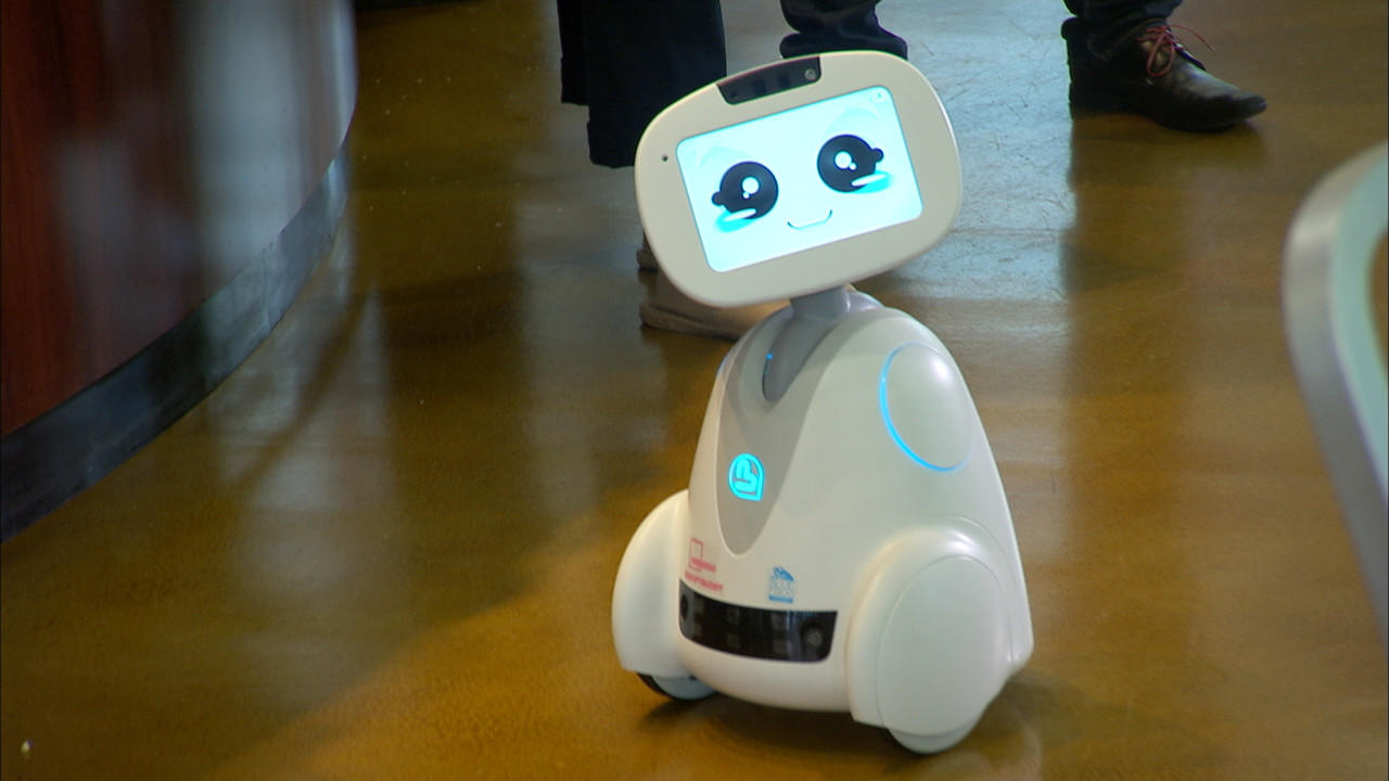 El futuro llegó Buddy, el robot doméstico de sólo 500 dólares