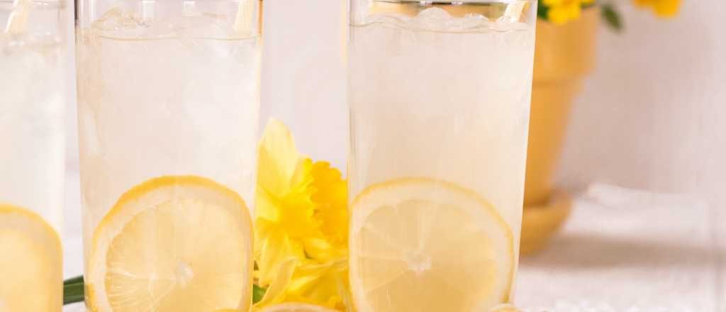 ¿Cómo preparar una rica limonada en simples pasos?