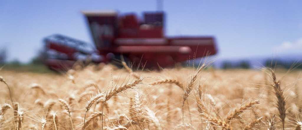 R&eacute;cord exportador de trigo en diciembre y cambio de mercado