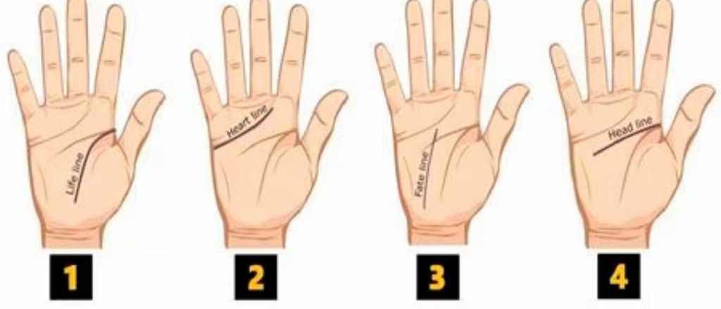 &iquest;Qu&eacute; dicen las l&iacute;neas de la palma de tu mano sobre tu futuro?