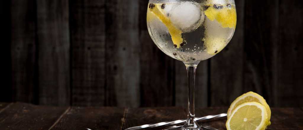 ¿Por qué el gin tonic es el cóctel del verano?