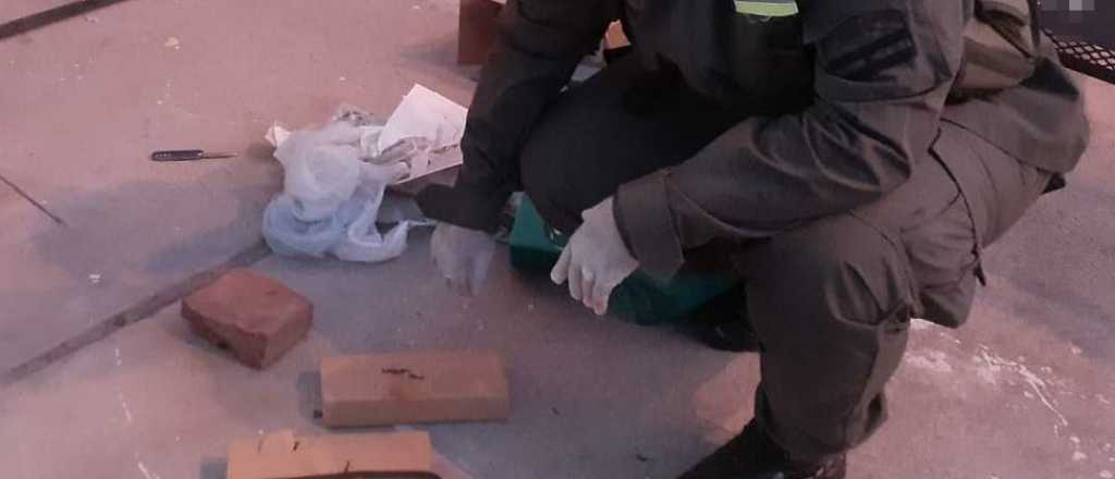 Un perro entrenado detectó droga en la bodega de un micro en Malargüe