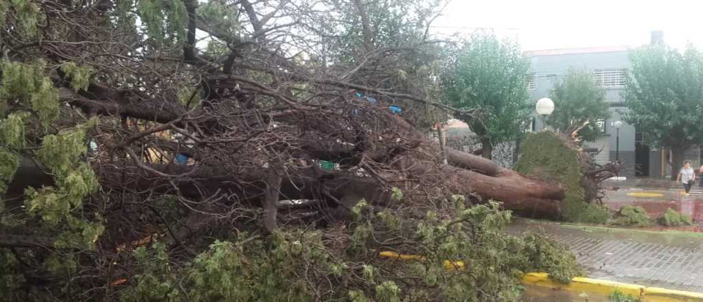 Fotos y videos: los daños que dejó la tormenta en Mendoza