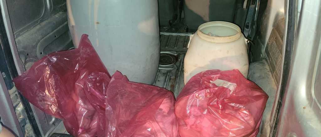 Decomisaron en Santa Fe 16 toneladas de achuras en mal estado