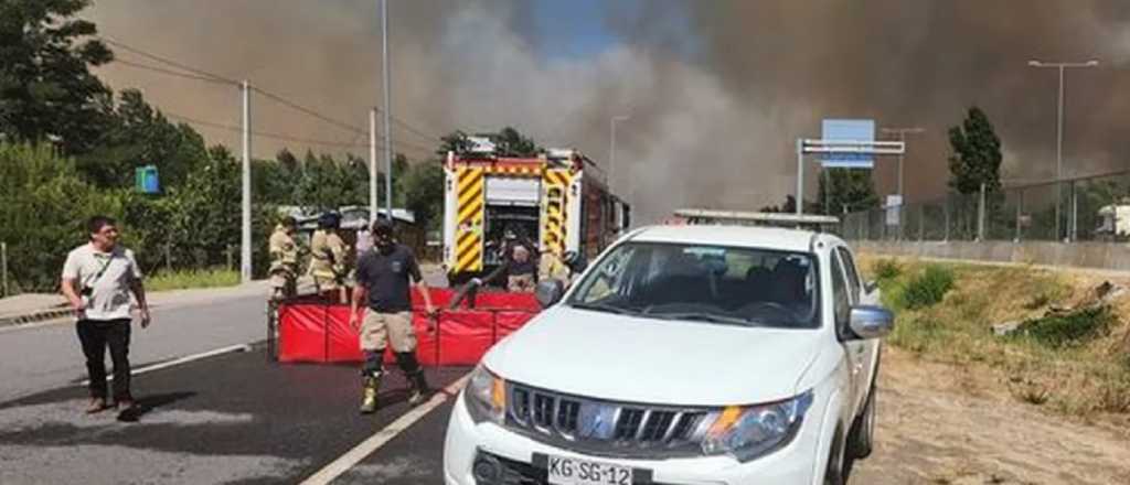 Alerta en Chile: incendios forestales arrasaron con cientos de hectáreas