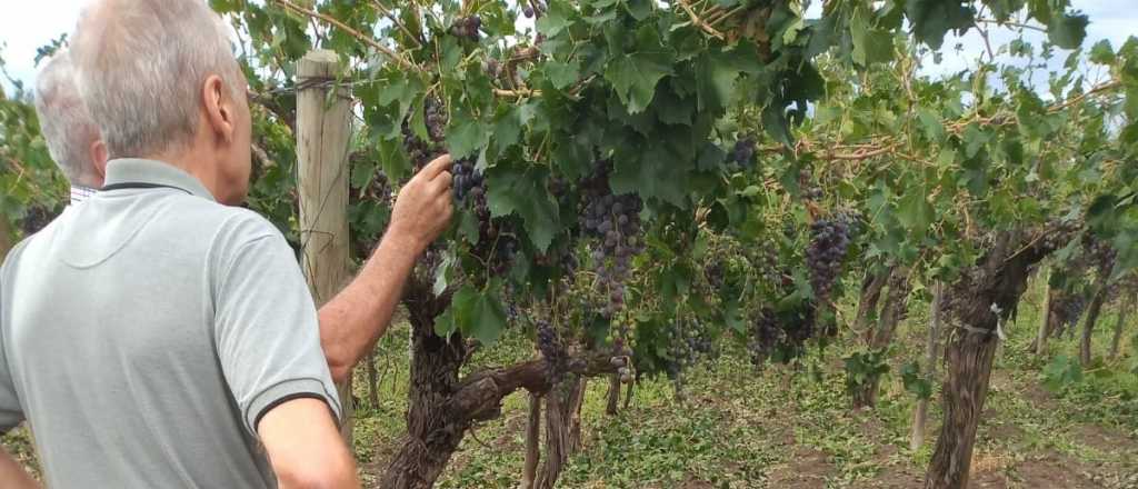 Miserias y discriminación, eso queda del justicialismo en Mendoza