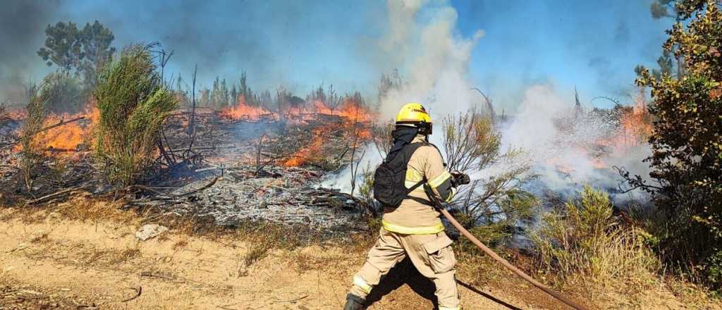 Ascienden a 26 los muertos por incendios forestales en Chile