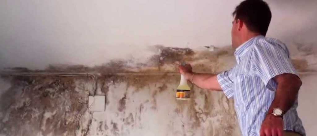 Trucos infalibles y caseros para eliminar la humedad de tus paredes
