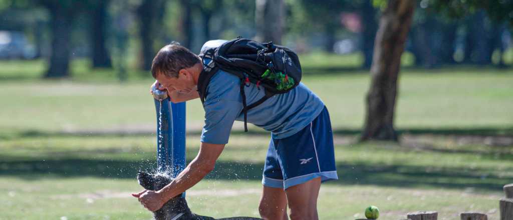 Regulan la tenencia de mascotas: &iquest;cu&aacute;nto cuesta la mordedura de un perro?