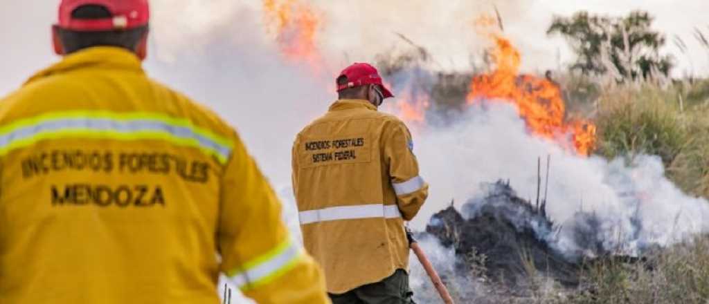 En esta temporada, ya hubo 79 incendios forestales en Mendoza