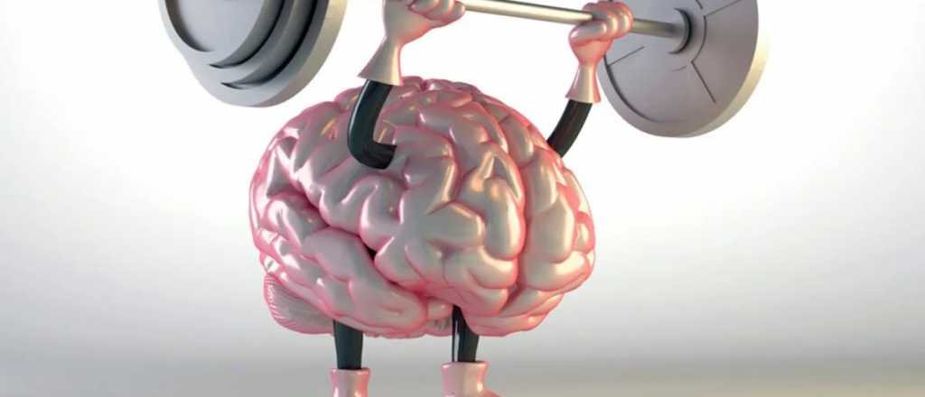 Cuál es el ejercicio físico que fortalece el cerebro