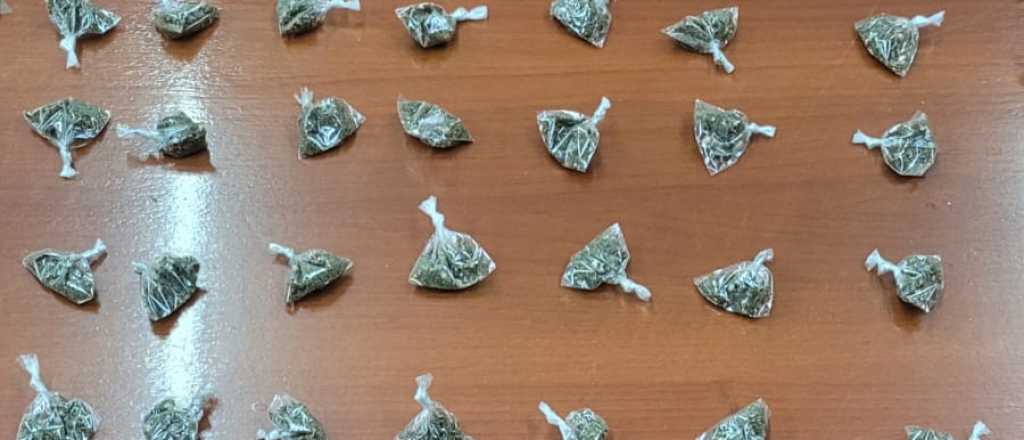 Arrestaron a una mujer que hac&iacute;a delivery de drogas en San Rafael