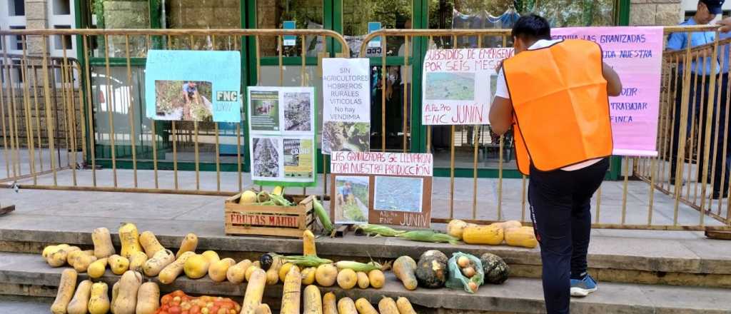 Fotos: productores rurales hicieron un "verdurazo" en Casa de Gobierno 