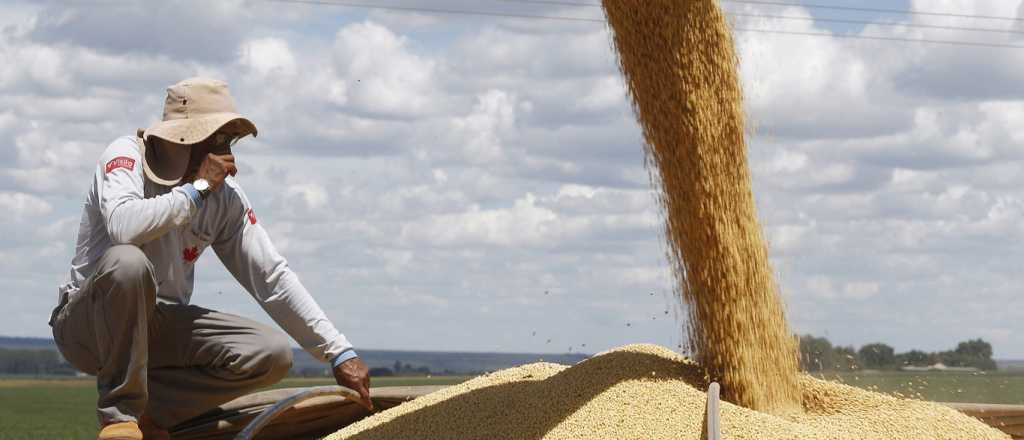 Entr&oacute; en vigencia la nueva edici&oacute;n del d&oacute;lar agro