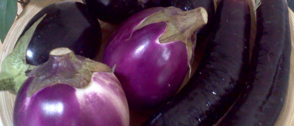 ¿Sabías esto? Los beneficios de comer berenjena